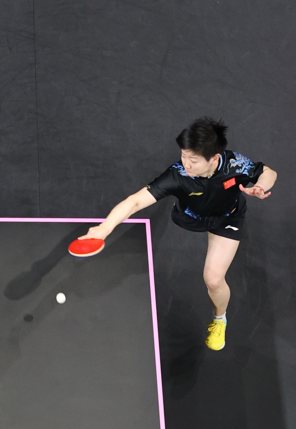 森林狼的内 森林狼的内